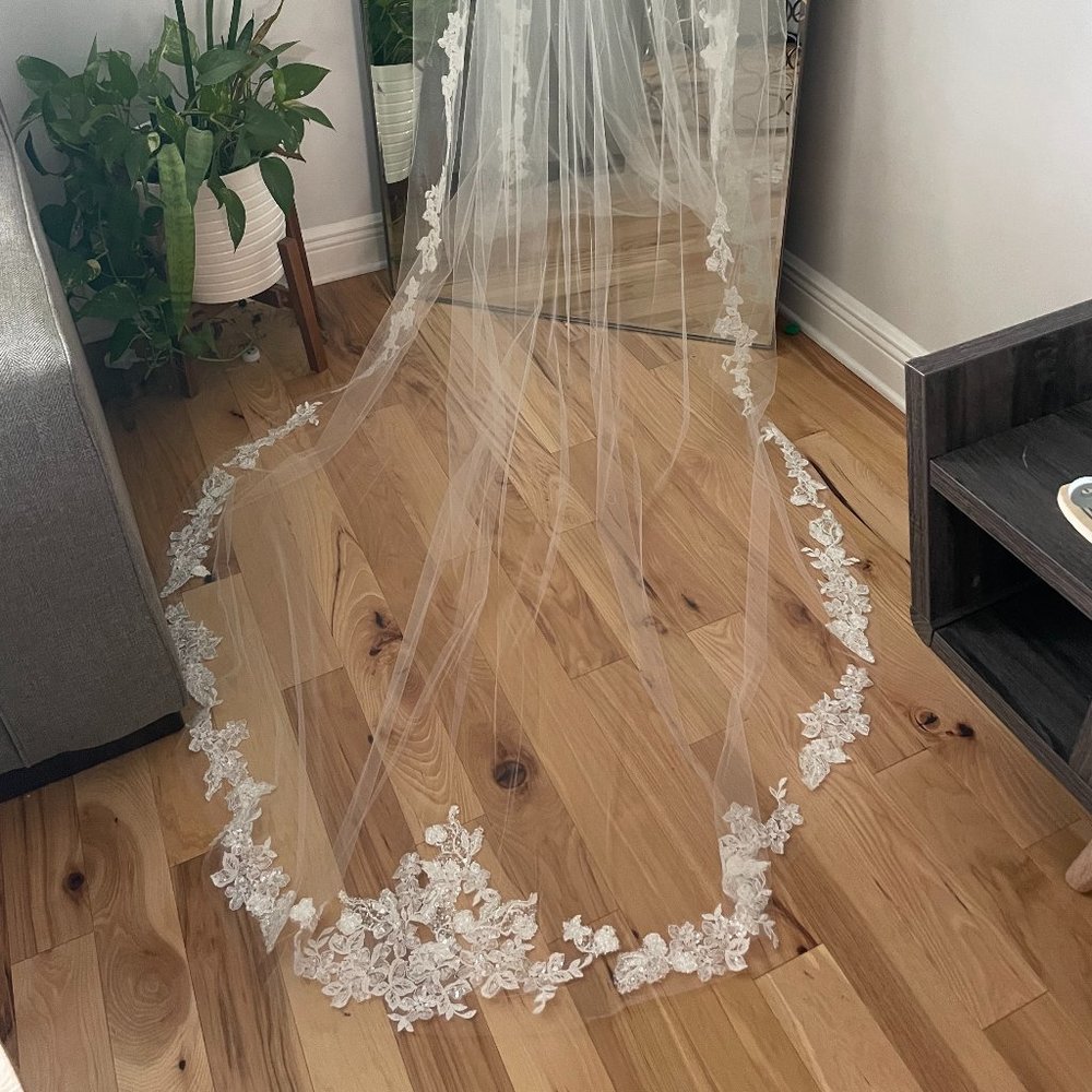 Ines Di Santo Sanibel Veil